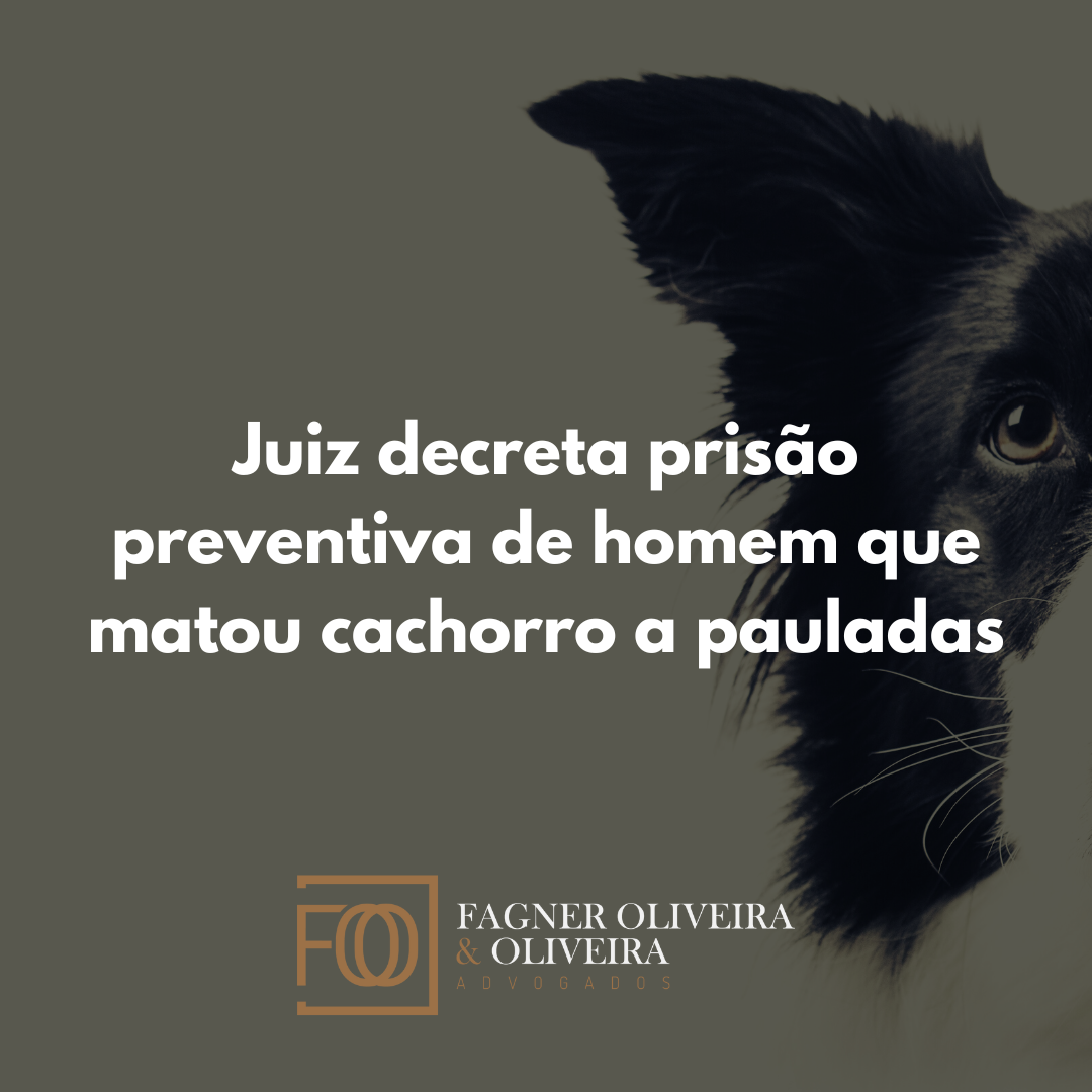 Juiz decreta prisão preventiva de homem que matou cachorro a pauladas